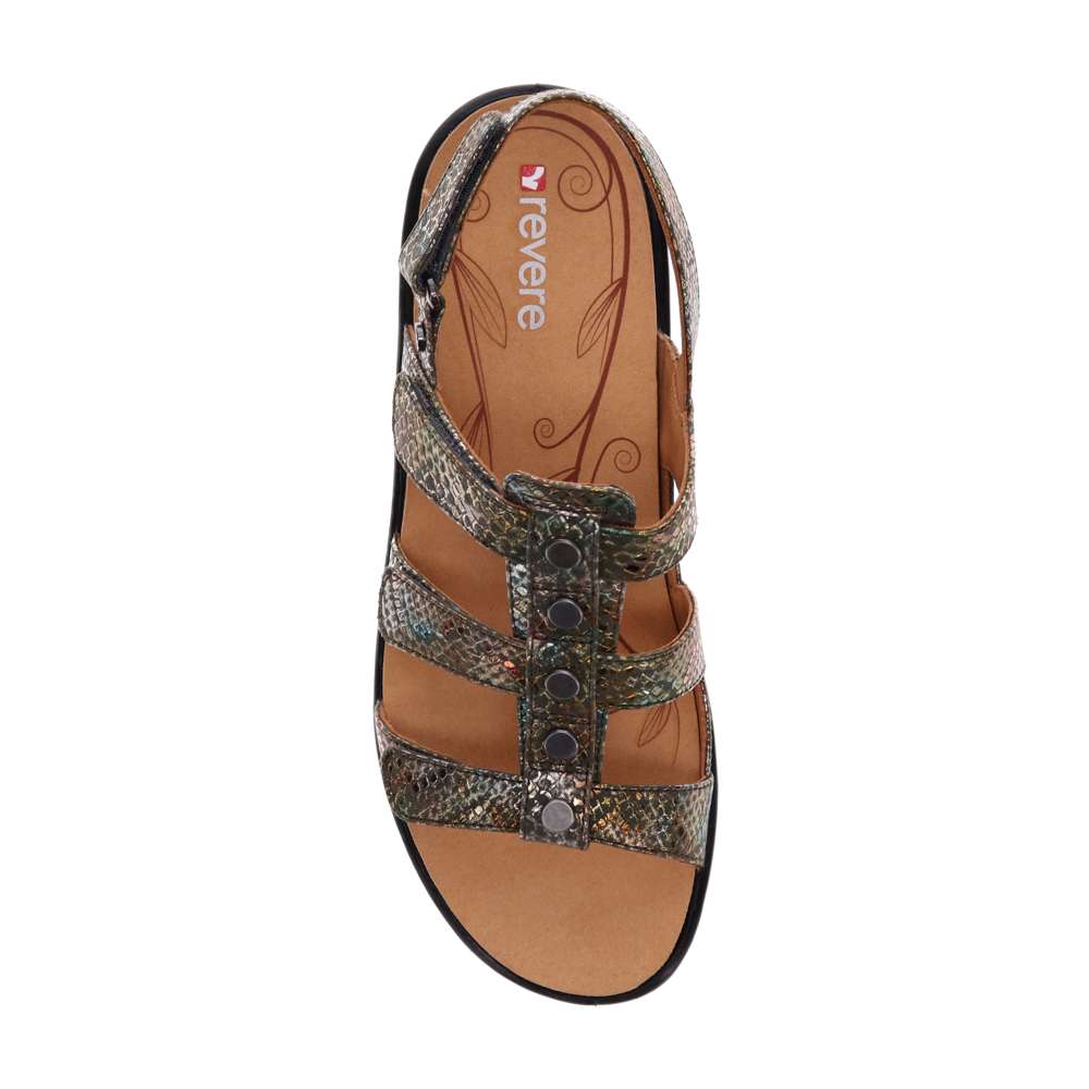 Toledo Backstrap Sandal - Peacock Python