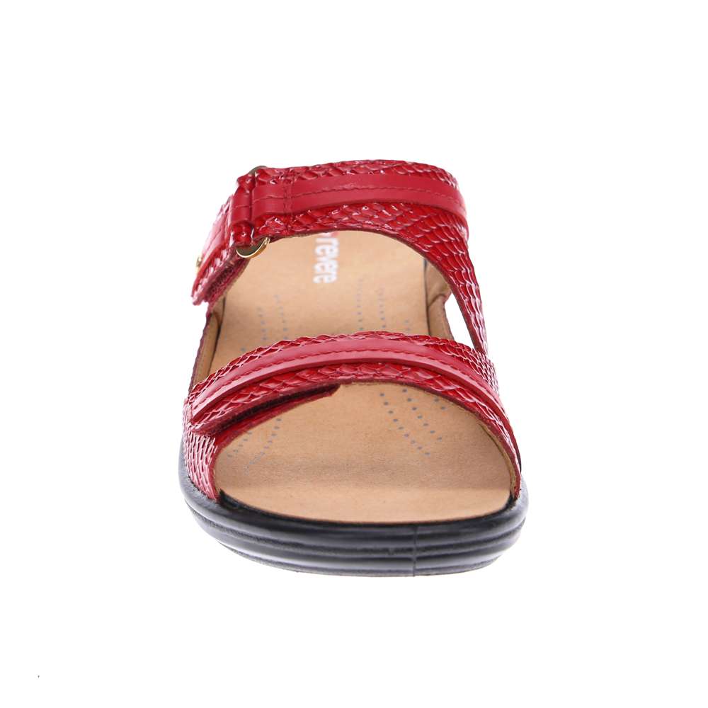 Rio Slide - Red Snake